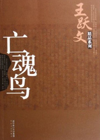 亡魂鸟TXT全集封面