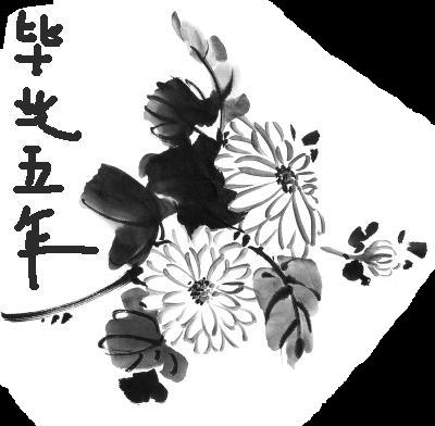 毕业五年TXT全集封面