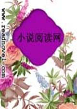 幸福在原地TXT全集封面