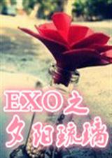 EXO之夕阳琉璃TXT全集封面