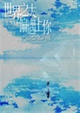 世界之大偏遇上你TXT全集封面