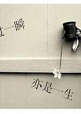 错过一瞬,亦是一生TXT全集封面