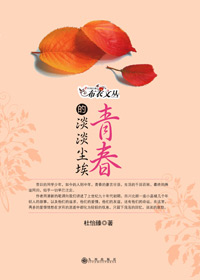 青春迷失的寻根旅程:青春的淡淡尘埃TXT全集封面
