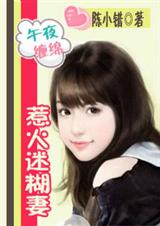腹黑老公别乱来:惹火迷糊妻TXT全集封面