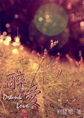 醉.愛TXT全集封面
