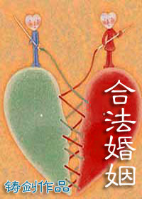 从良夫妻荒唐事:合法婚姻TXT全集封面