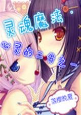 灵魂魔法心灵的二分之TXT全集封面