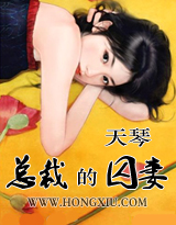 总裁的恨妻 全集+番外TXT全集封面