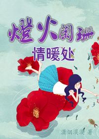 灯火阑珊情暖TXT全集封面