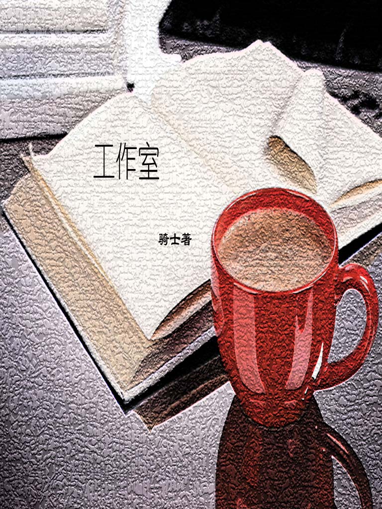 工作室TXT全集封面