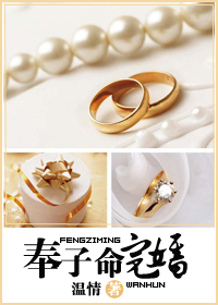 奉子命完婚(高干)TXT全集封面