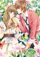 惹上冷酷靓校花TXT全集封面