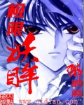 极限妖眸TXT全集封面