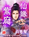 紫府仙缘3TXT全集封面