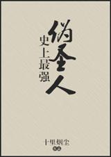 史上最强伪圣人TXT全集封面