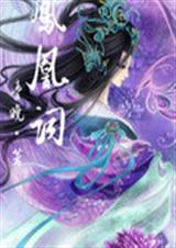 凤凰词TXT全集封面