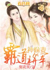 霸道将军神偷妻TXT全集封面