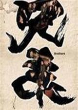 传奇兄弟TXT全集封面
