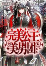 完美公主美男团TXT全集封面