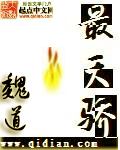 最天骄TXT全集封面