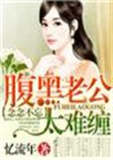 念念不忘,腹黑老公太难缠TXT全集封面