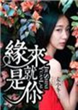 缘来就是你TXT全集封面