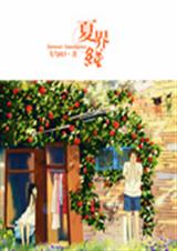 夏界线TXT全集封面