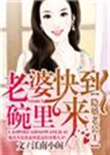 隐婚老公1老婆快到碗里来TXT全集封面