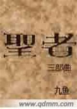 圣者TXT全集封面