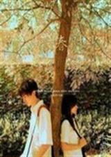 错过的青春时光TXT全集封面