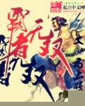 霸者无双TXT全集封面