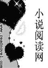 贵族小姐的顽皮之旅TXT全集封面