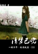 清梦已晚TXT全集封面
