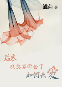 后来我总算学会了如何去爱TXT全集封面