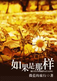 如果是那样TXT全集封面