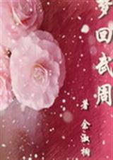 梦回武周TXT全集封面