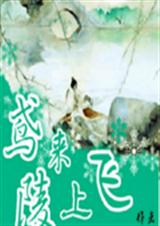 鸢来陵上飞TXT全集封面