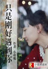 只是刚好遇见你TXT全集封面