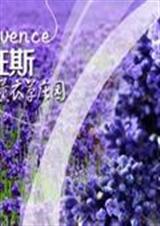 守护天使之林轩篇TXT全集封面