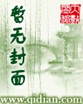 麒麟王追风TXT全集封面