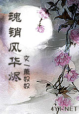 魂销风华烬TXT全集封面
