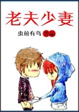 老夫少妻 全TXT全集封面
