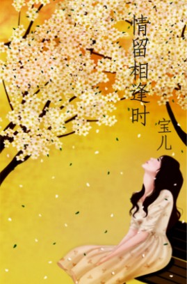 情留相逢时TXT全集封面