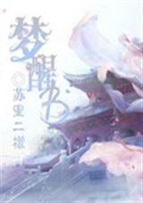 梦醒书TXT全集封面