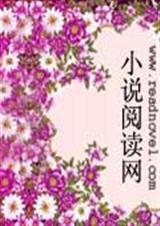 永远不变的爱情TXT全集封面