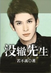 没辙先生TXT全集封面