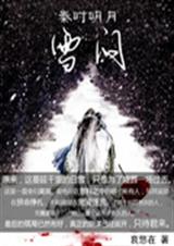 秦时明月之雪问TXT全集封面