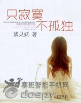 只寂寞不孤独TXT全集封面