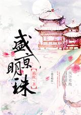 盛京明珠TXT全集封面