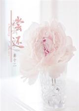 偿还TXT全集封面